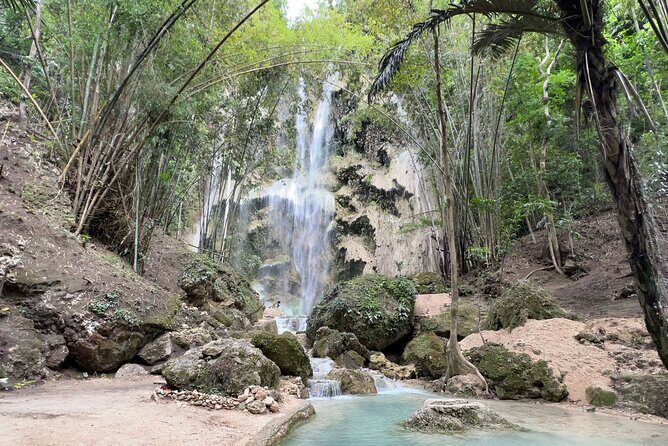 Oslob Whale Shark Watching + Kawasan Falls Day Tour - Final Thoughts: Who Is This Tour Best For?