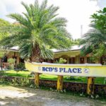 Oslob Whale Sharks and Moalboal Sardine Run, Sea Turtles Tour - Authentic Insights from Reviewers