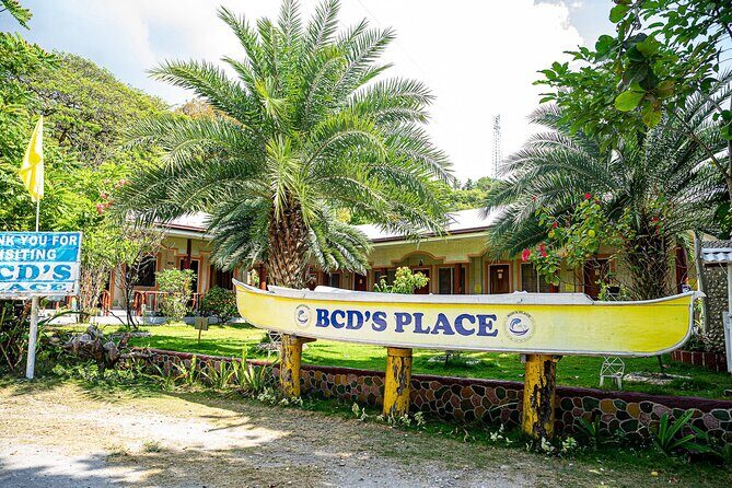 Oslob Whale Sharks and Moalboal Sardine Run, Sea Turtles Tour - Authentic Insights from Reviewers