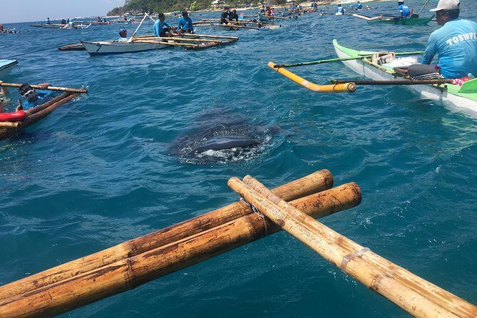 Oslob WhaleSharks, Aguinid Falls & Kawasan Main (Gatorade) Falls - What Sets This Tour Apart