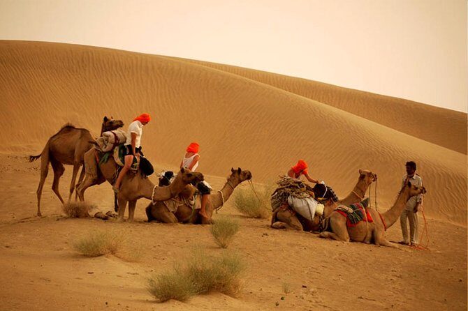 Overnight Camel Safari at Non-Touristic Route - A Deep Dive into the Overnight Camel Safari Experience