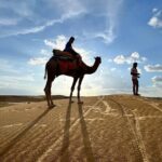 Overnight Camel Safari in Thar Desert - Arriving in the Desert: Camel Trekking and Sunset Views