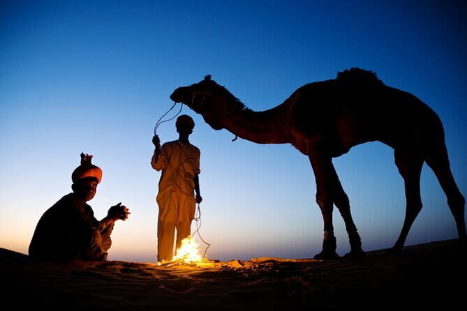 Overnight Camel Safari Tour - Day 1: Into the Desert