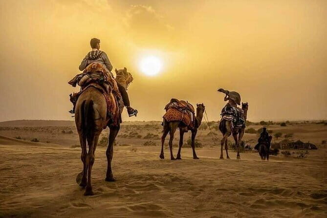 Overnight Desert Adventure Safari - Morning Departure - The Practicalities & What to Expect