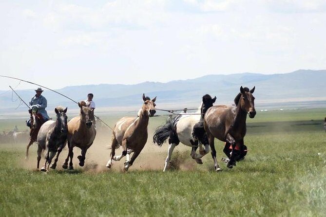 Overnight Semi-Gobi Tour with Nomadic HomeStay - What’s Included and What’s Not