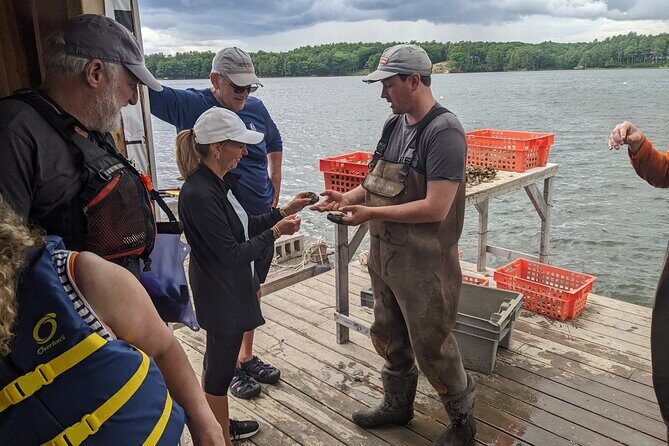 Oyster Tasting and Kayak Tour - The Value of the Experience