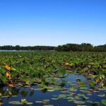 Paddle Board Rental in Indian Lake - FAQ