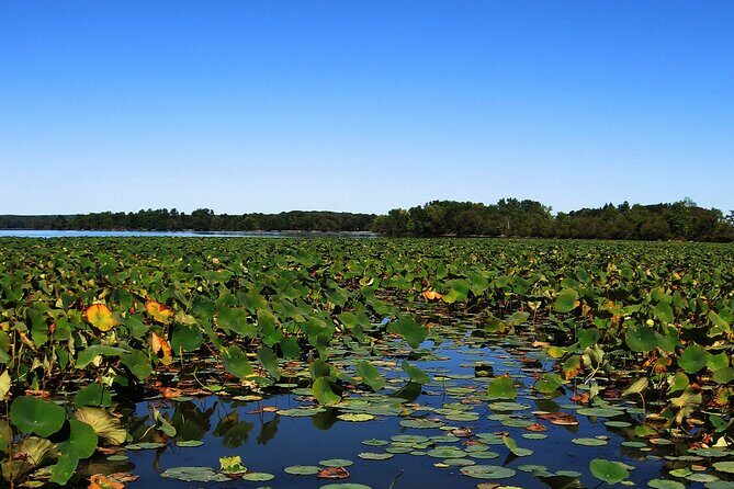 Paddle Board Rental in Indian Lake - FAQ