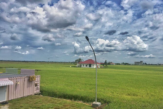 Paddy Field, Fishing Village Sekinchan DAY Tour Lunch (SIC-Shared/Join In Tour) - A Deep Dive into the Experience