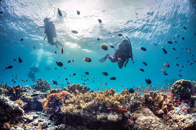 PADI Advanced Open Water Course Kota Kinabalu - The Itinerary in Detail: What Makes Each Part Special