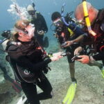 PADI Advanced Open Water Diver Course - What You Can Expect from the Course