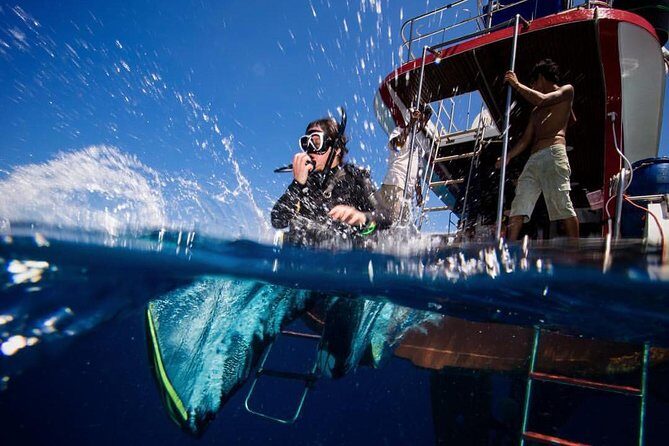 PADI Discover Scuba Diving Experience Full Day Trip - What It’s Like on the Day