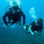 PADI Discover Scuba Diving in Koh Tao - half day and two dives - Practical Details and Tips