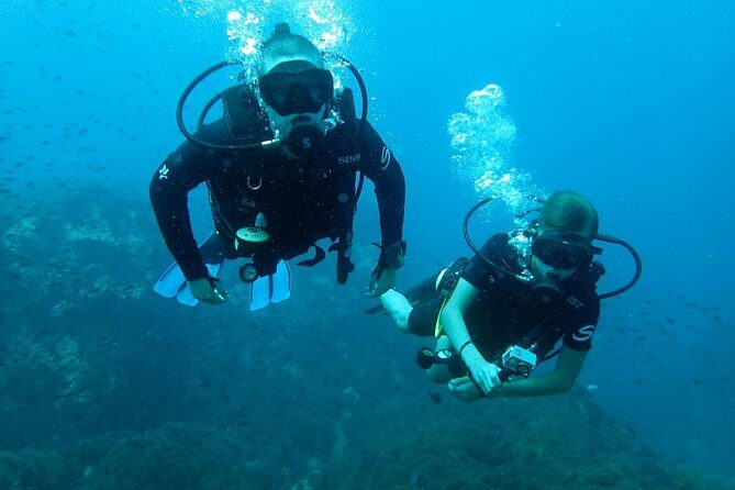 PADI Discover Scuba Diving in Koh Tao - half day and two dives - Practical Details and Tips