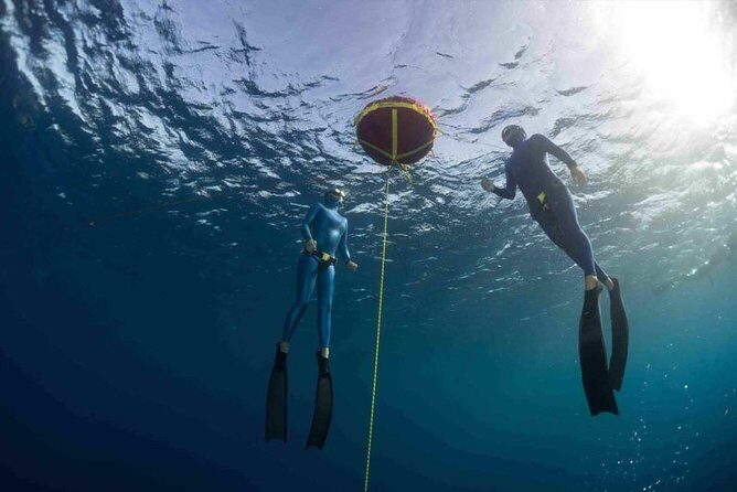 PADI Freediver Course - Its All About the Skills: What You’ll Learn