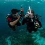 PADI Scuba Diver Course - Exploring the Course Itinerary in Detail