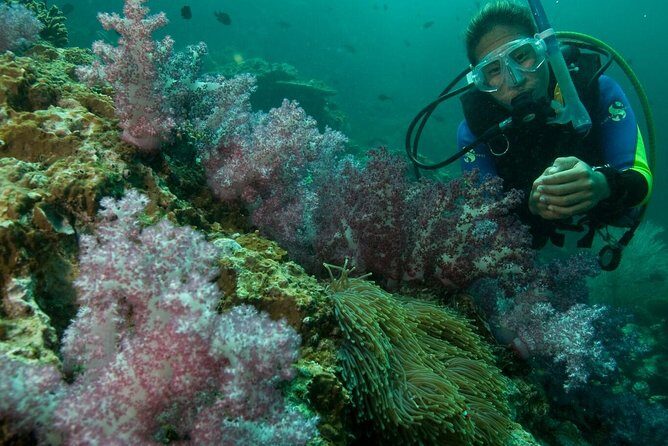 PADI Scuba Diver Course - The Experience and Atmosphere