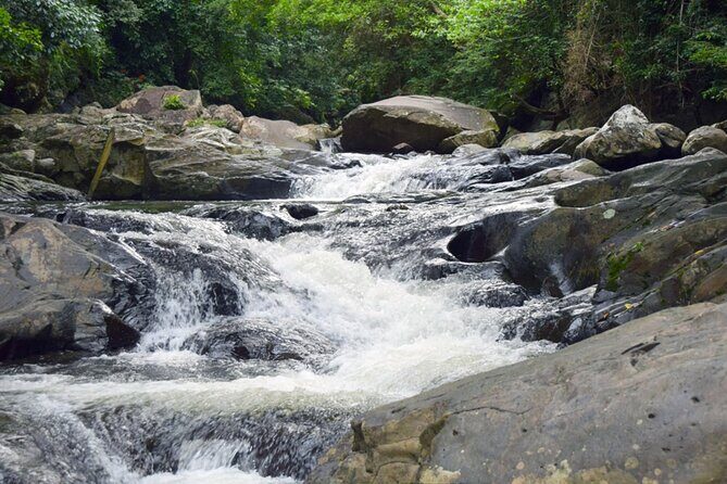 Pala U Waterfall in Kaeng Krachan Jungle with Private Guide from Hua Hin - What’s Included and What’s Not