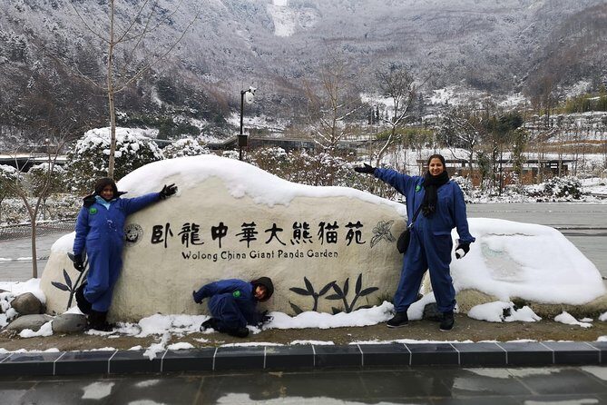 Panda Volunteer expperience in Dujiangyan or Wolong Panda Base - Why This Tour Matters