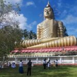 Paradise Blow Hole, Big Buddha, Rock Temple Tours - Practical Details