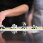 Pasta Cooking Experience in Florence - Who Should Book This?