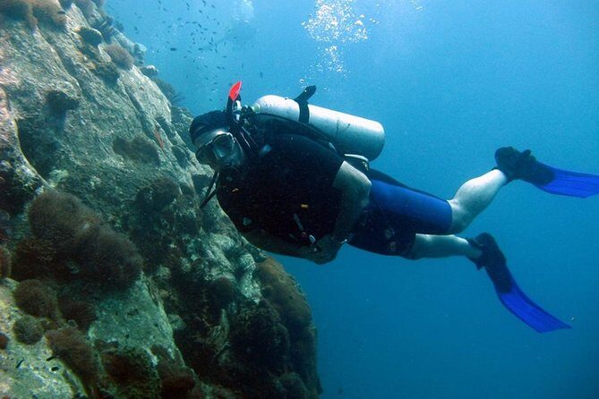 Pattaya PADI Scuba Diving Two Exciting Try Dives with PADI Instructor in Pattaya - Who Will Love This Experience?