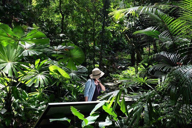 Penang Half Day City Tour Including Tropical Spice Garden - The Practicalities and Overall Value