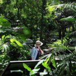 Penang Round Island Tour With Tropical Spice Garden & Entopia Butterfly Farm - The Sum Up