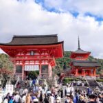 PERFECT KYOTO 1-Day Bus Tour - Is This Tour Worth It?