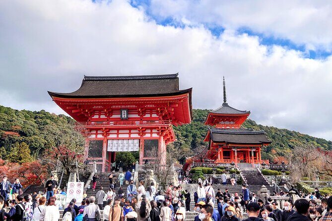 PERFECT KYOTO 1-Day Bus Tour - Is This Tour Worth It?