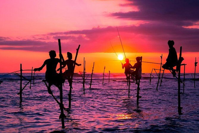 Personal Driver For Your Two Weeks Round Tour In Sri Lanka - What It Means for You