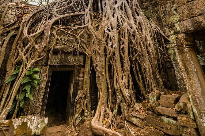 Personalised Angkor Wat Day Tour by an Air-conditioned Car - The Convenience of Private Travel and Guided Insight