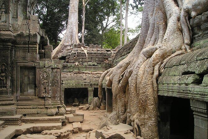 Personalised Angkor Wat Sunrise Tour by an air-conditioned car - Hidden Gems and Forest Temples: Ta Nei and Ta Prohm