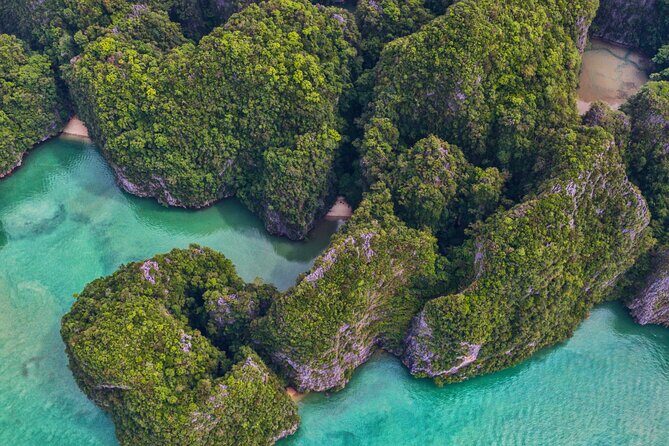 Phang Nga Bay Private Bioluminescence and Sea Canoeing Tour - FAQ