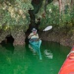 Phang Nga Bay Tour by Speed Boat - Who Should Consider This Tour?