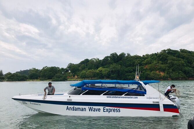 Phi Phi Islands from Phuket Speedboat Transfer with Pickup Service - The Sum Up
