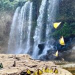 Phnom Kulen Waterfall and 1000 Linga River tour from Siem Reap - The Experience: What You Can Expect