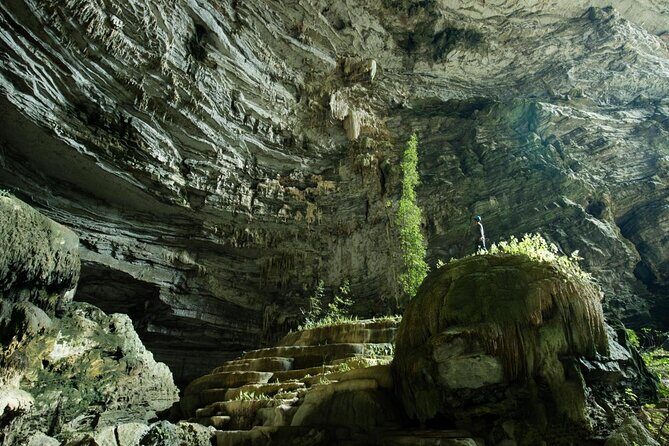 Phong Nha and Dark Cave 1 day tour - Who Is This Tour Best For?