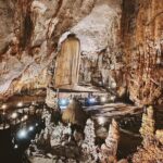 Phong Nha Paradise caves Daily Tour - Exploring the Full-Day Cave Adventure