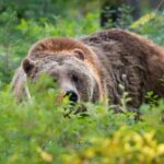 Photography Workshop in Grand Teton National Park - Price and Value