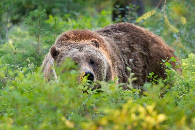 Photography Workshop in Grand Teton National Park - Price and Value