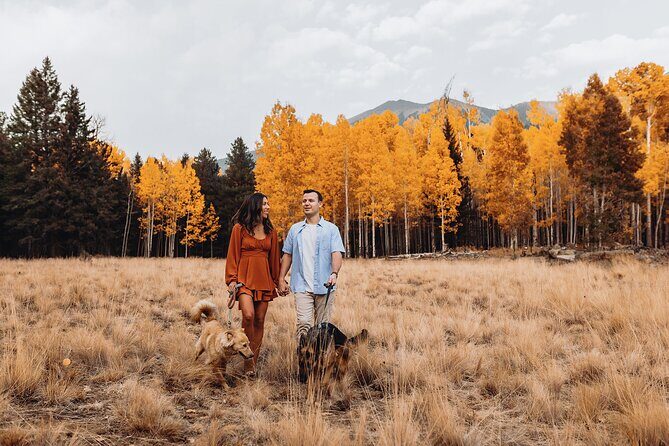 Photoshoot among the Flagstaff Forest - Analyzing the Cost and Value