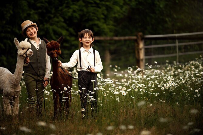 Photoshoot with Alpacas and Farm Experience near Seattle - What to Expect During the Farm Experience