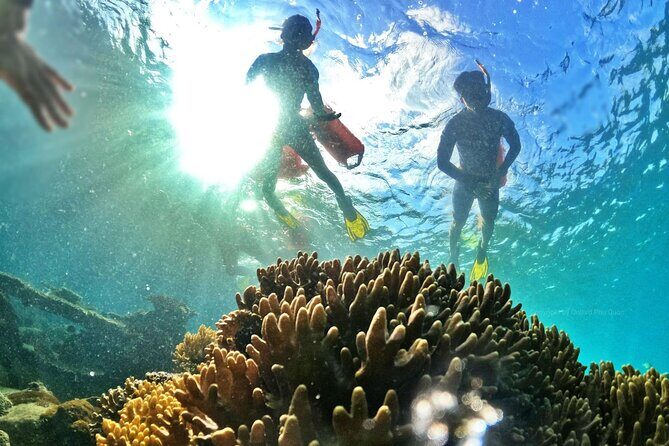 [Phu Quoc] Private Speedboat & Short-Snorkel: South Hidden Reefs - Additional Practicalities