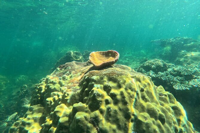 Phu Quoc: Snorkeling and Island Hopping By Speedboat with Lunch - Final Thoughts