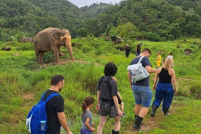 Phuket City Tour & Elephant Sanctuary: Sights, Tastes, Culture - Culinary Delights at the Local Food Market