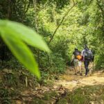 Phuket Jungle Trekking Experience at Khao Phra Taew National Park - Authentic Experiences & Reviewer Insights