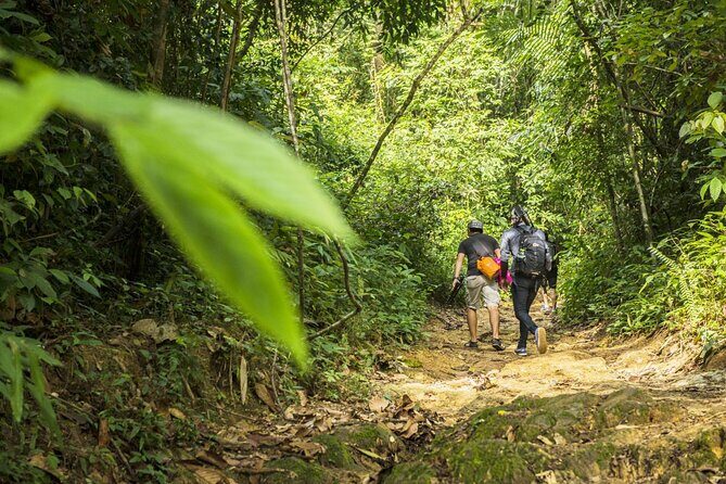 Phuket Jungle Trekking Experience at Khao Phra Taew National Park - Authentic Experiences & Reviewer Insights