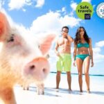 Pig Feeding, Kayaking, Snorkeling Trip at Pig Island By Speedboat From Koh Samui - Who Should Consider This Tour?