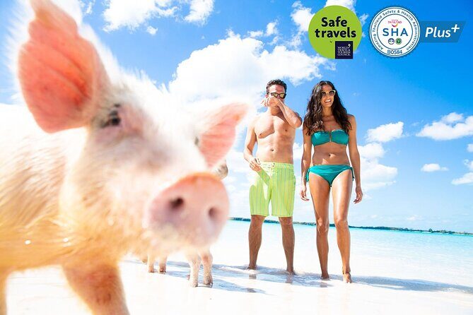 Pig Feeding, Kayaking, Snorkeling Trip at Pig Island By Speedboat From Koh Samui - Who Should Consider This Tour?